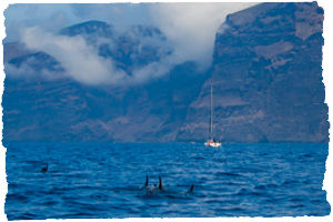 Thumbnail image for Inject Some Culture Into Your Tenerife Holiday